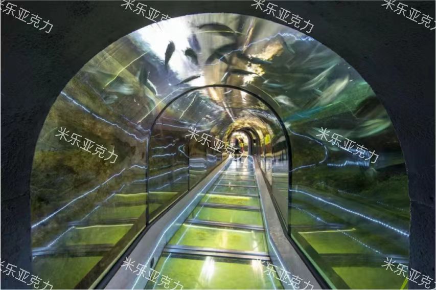 江苏无锡海洋馆隧道