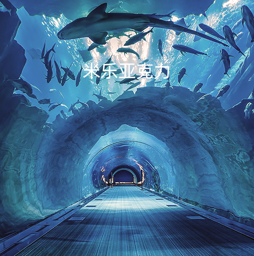 <b>亚克力海底隧道特点与建造</b>