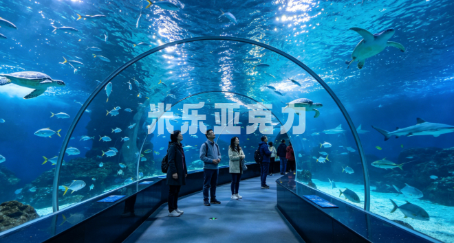 为什么海洋馆都用亚克力？92% 透光率背后的工业秘密